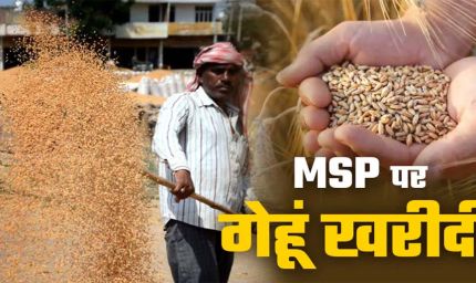 मालवांचल, नर्मदापुरम और भोपाल संभाग में 10 अप्रैल से गेहूं उपार्जन, बाकी संभागों में 15 मार्च से शुरू होगी खरीदी