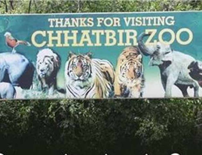 छतबीड़ चिड़ियाघर में सख्ती: पर्यटकों के लिए नए नियम लागू, जंगलात विभाग का बड़ा फैसला