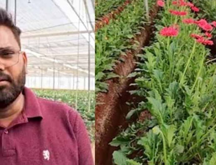 सब्सिडी से नीरज की बदली तकदीर, जरबेरा की खेती से लाखों की कमाई