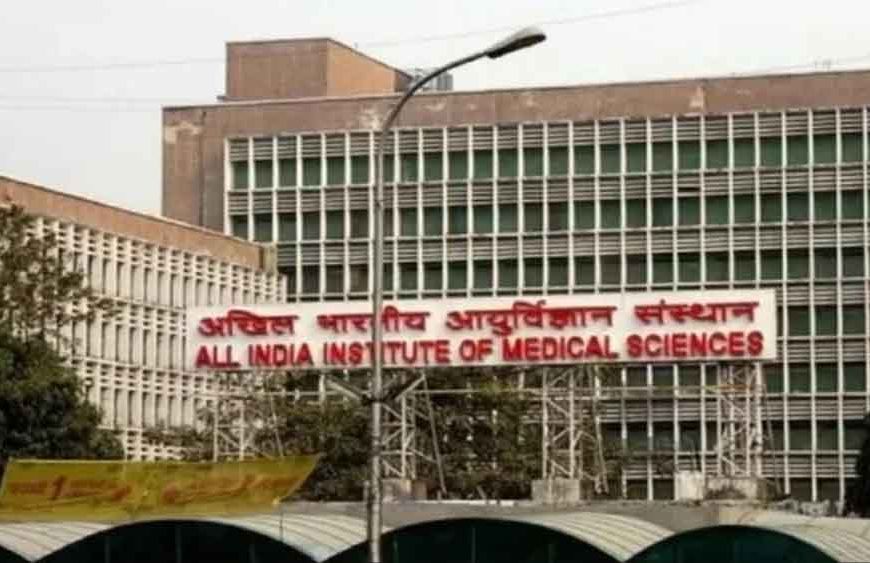 77 मिनट में एम्स, 96 मिनट में एयरपोर्ट: नमो भारत ट्रेन से मेरठ-दिल्ली सफर हुआ आसान