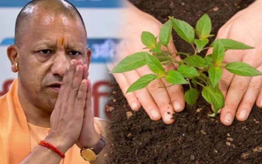 सर्वोत्तम के साथ यूपी को ‘हरित प्रदेश’ बनाने में जुटी योगी सरकार