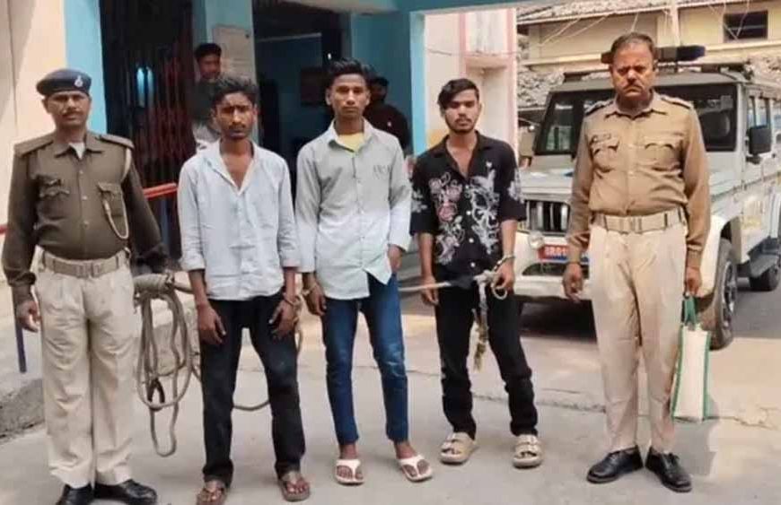 बेतिया में पाकिस्तानी कनेक्शन का खुलासा: 3 साइबर बदमाश गिरफ्तार, मोबाइल से मिले चौंकाने वाले सबूत