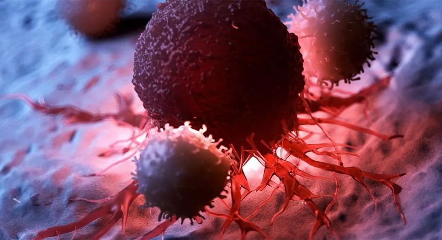 2040 तक कैंसर बनेगा और बड़ा खतरा, हर दो मिनट में एक नई ज़िंदगी पर वार!