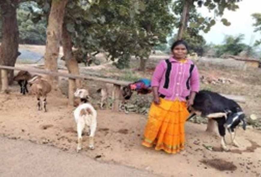 बहुआयामी व्यवसाय से संवरा जीवन, रेबेका बनीं ‘लखपति दीदी’