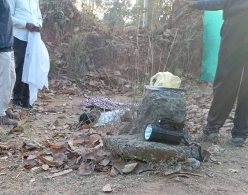 कोरबा में हाथी ने मंडी प्रभारी पर हमला कर उतारा मौत के घाट, पत्नी ने भागकर बचाई जान