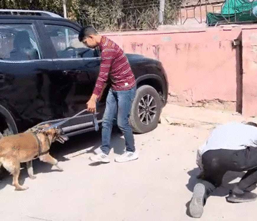 ई-मेल से मिली बम धमकी से हिला बीकानेर कोर्ट परिसर, सुरक्षा एजेंसियाँ अलर्ट