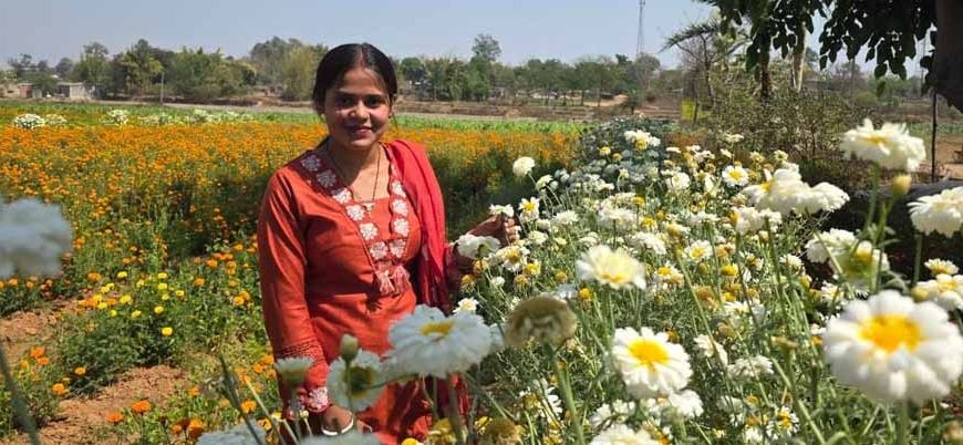 बिहान योजना से खिला रत्ना का भविष्य, फूलों की खेती से बनीं सफल उद्यमी