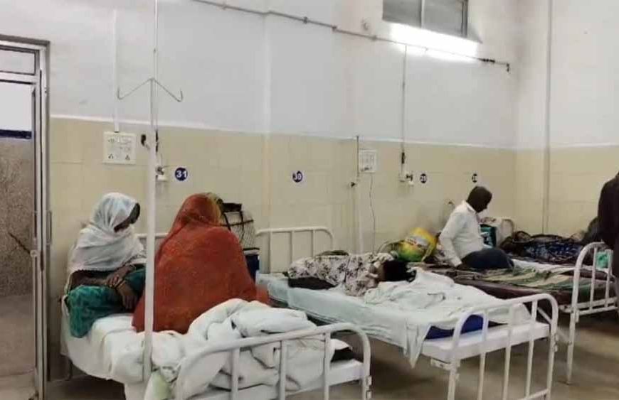 पन्ना में देसी नुस्खा पड़ा भारी, दर्द भगाने के लिए पिया धतूरे का काढ़ा; एक ही परिवार के 3 लोग अस्पताल में भर्ती