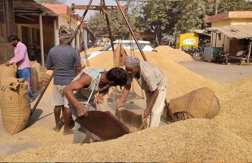 धान खरीद में छत्तीसगढ़ का 'डेटा-संचालित मॉडल', एआई तकनीक से बनी मिसाल