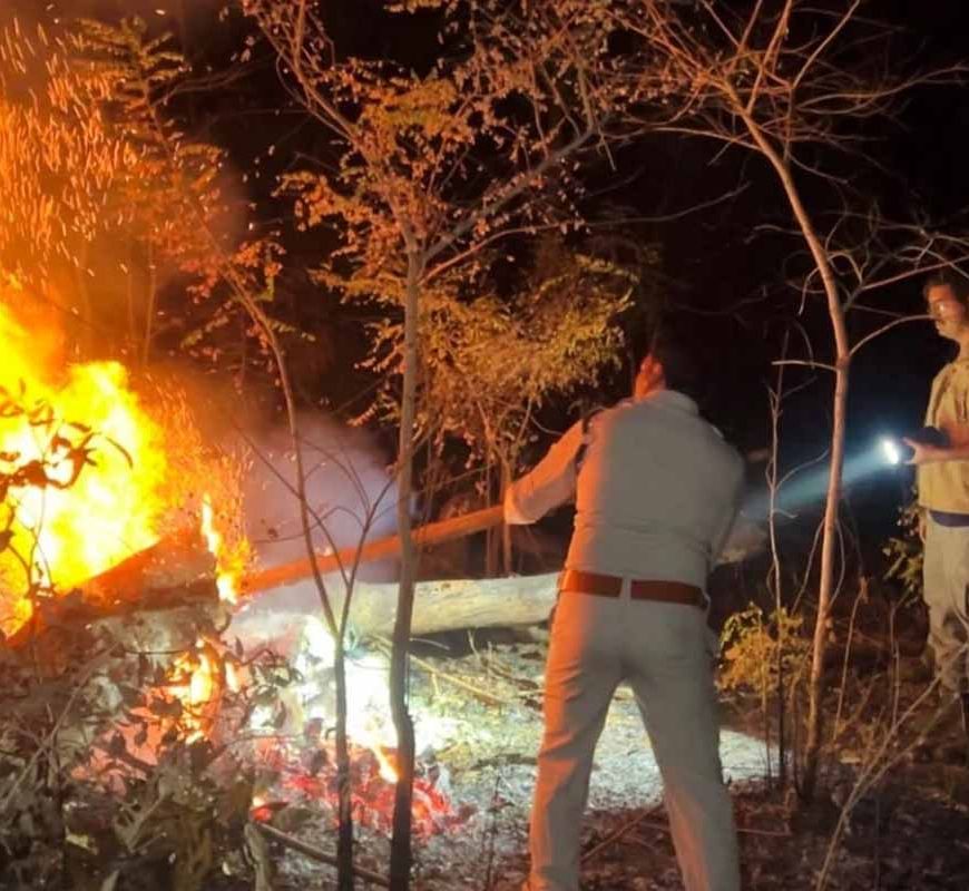 होली के दिन भी वनों की सुरक्षा में जुटे रहे वनकर्मी