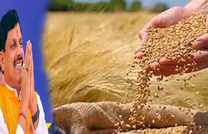 MP के किसानों को बड़ी सौगात: गेहूं पर ₹40 और उड़द पर ₹600 प्रति क्विंटल बोनस