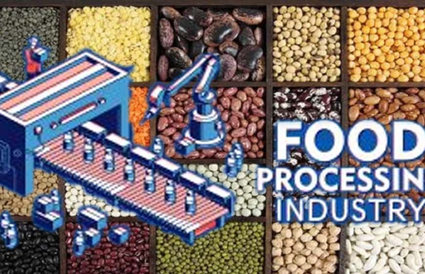 MP में किसान शुरू कर सकते हैं दाल प्रसंस्करण व पैकेजिंग इकाई, 25 लाख के लोन पर मिलेगी 33% सब्सिडी