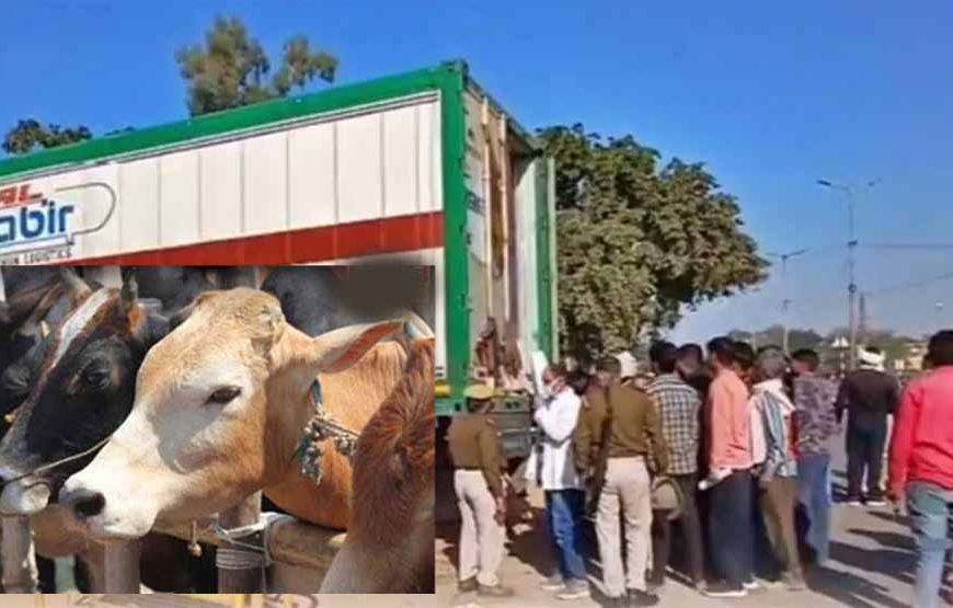 बीफ कांड में 56 दिन बाद कोर्ट में चालान पेश, कंटेनर में गौमांस की SIT ने की पुष्टि
