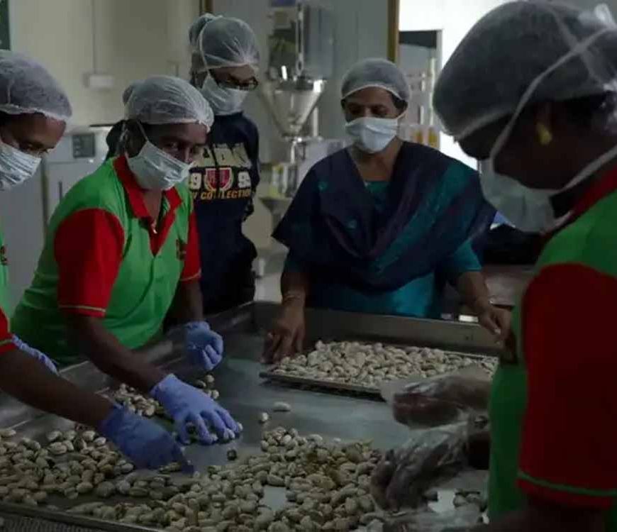 उत्तर प्रदेश में 9 हजार से अधिक महिला संचालित स्टार्टअप बना रहे नई पहचान