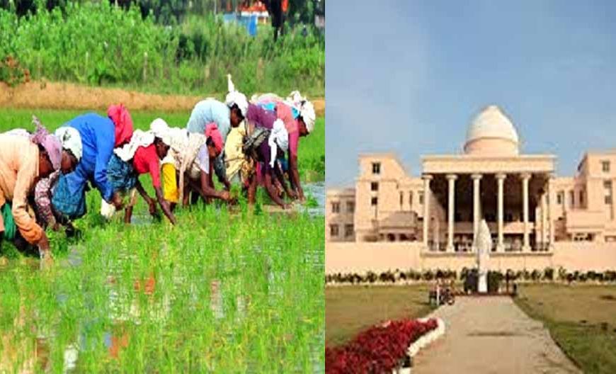 16 लाख किसानों ने किया रकबा समर्पण, विधानसभा में मंत्री बघेल ने दी जानकारी