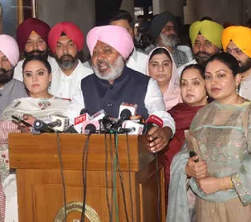 पंजाब सदन में कांग्रेस विधायक ने की आपत्तिजनक टिप्पणी!, AAP सदस्यों ने जमकर किया हंगामा