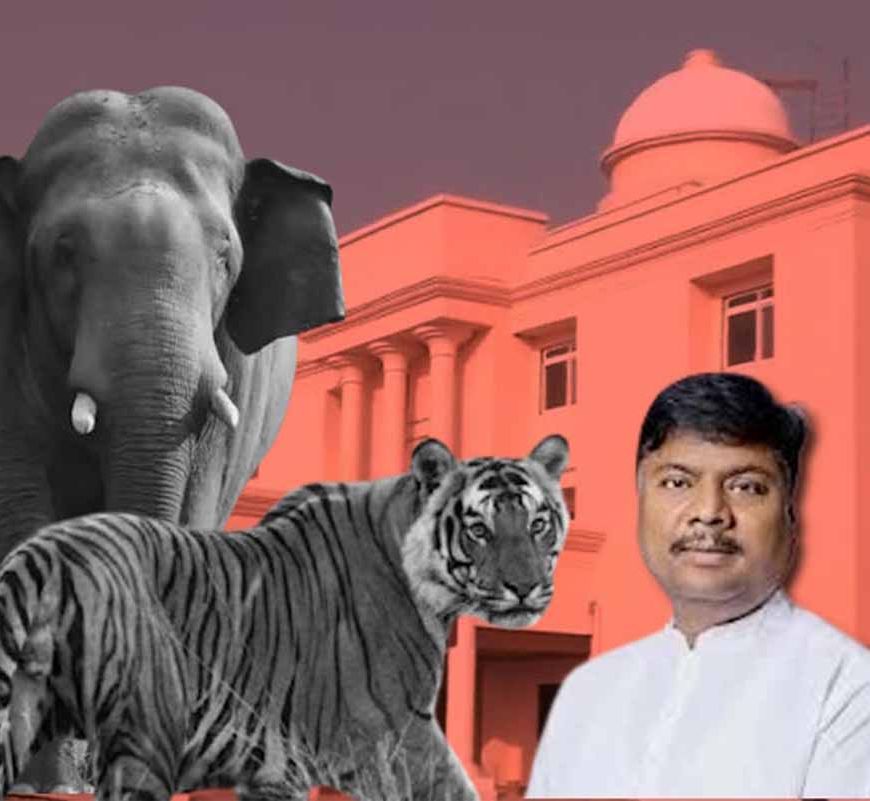 छत्तीसगढ़ विधानसभा में वन मंत्री ने किया खुलासा, तीन साल में 9 बाघ और 38 हाथियों की मौत