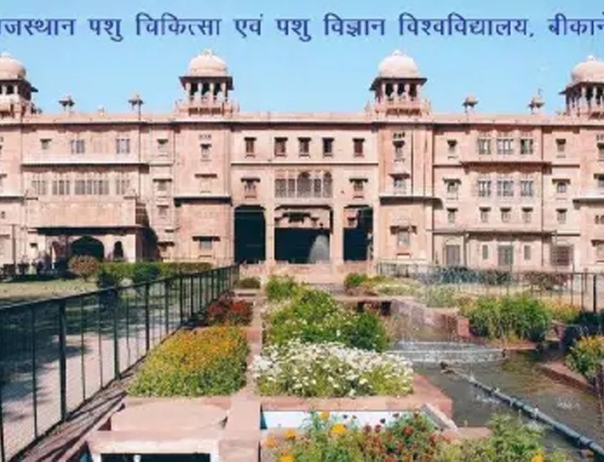 आरएजेयूवीएएस का फैसला; पशुचिकित्सा स्नातक में अब केवल नीट-यूजी से दाखिला होगा