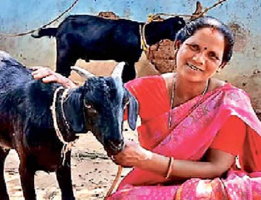 मंईयां सम्मान योजना से 67,752 महिलाएं बनीं आत्मनिर्भर, झारखंड में हर महीने मिल रहे ₹2500