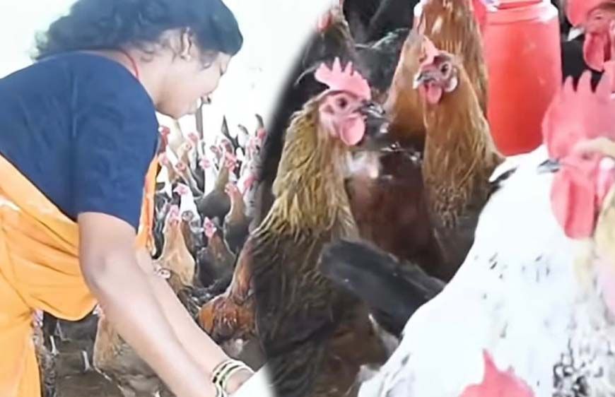 धमतरी : आजीविका मिशन से बदली तस्वीर: चर्रा की योगेश्वरी देवांगन बनीं महिला सशक्तिकरण की प्रेरणा