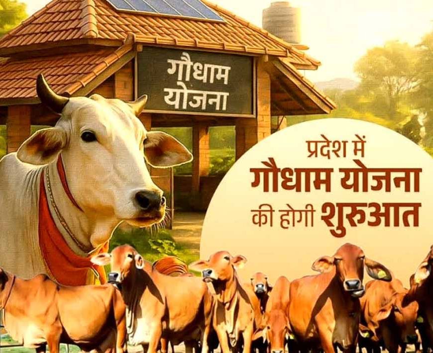 मुख्यमंत्री विष्णु देव साय 14 मार्च को बिलासपुर से करेंगे “गौधाम योजना” का शुभारंभ