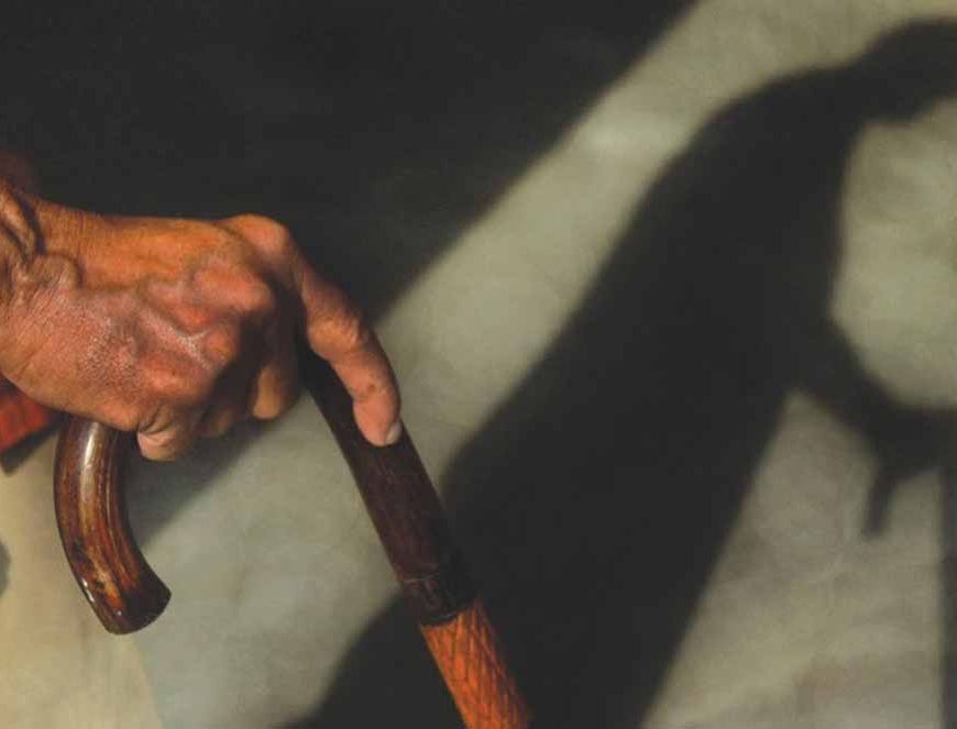 हाईकोर्ट का अनोखा आदेश: 73 साल के बुजुर्ग की सजा निलंबित, 20 पौधे लगाकर एक साल देखभाल की शर्त