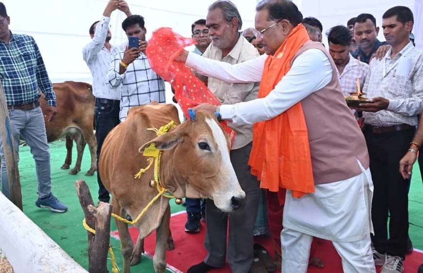 राज्य में गोधन संरक्षण को नई दिशा : गोमाता की पूजा-अर्चना कर CM साय ने ग्राम लाखासार में गौधाम का किया शुभारंभ
