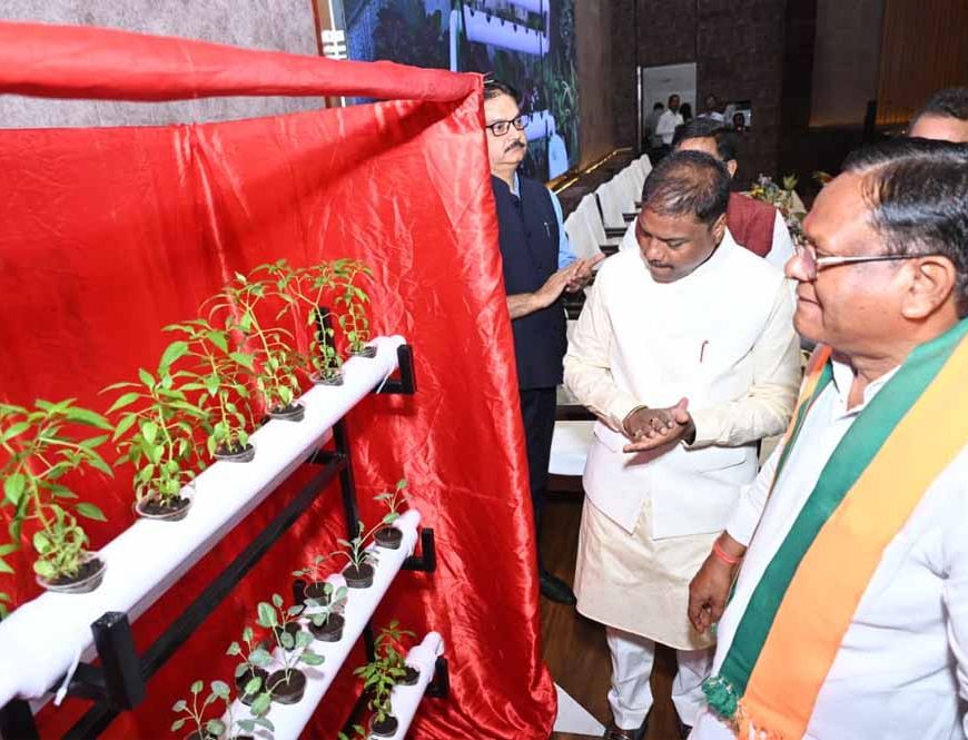 वन आधारित अर्थव्यवस्था को मजबूत करने पर दें जोर: वन मंत्री  कश्यप