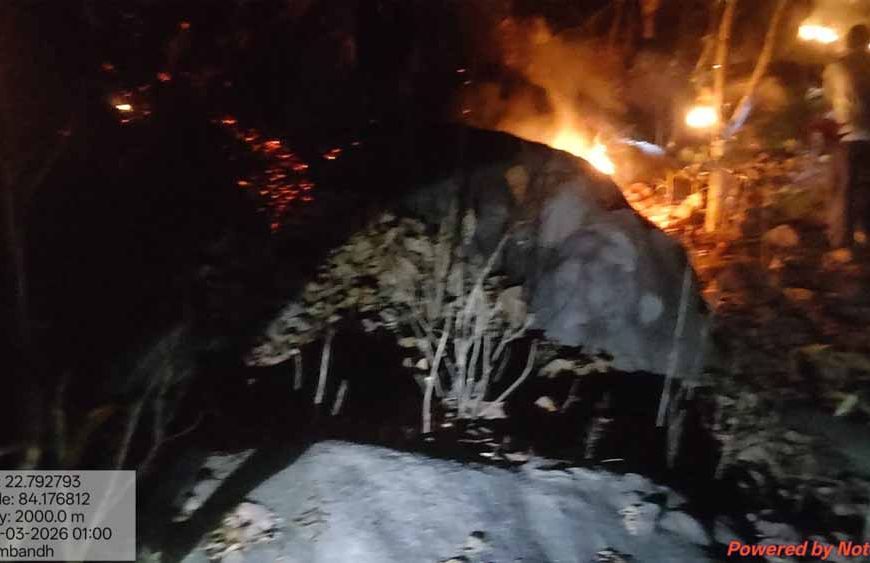 वन विभाग की तत्परता से टली बड़ी वन क्षति