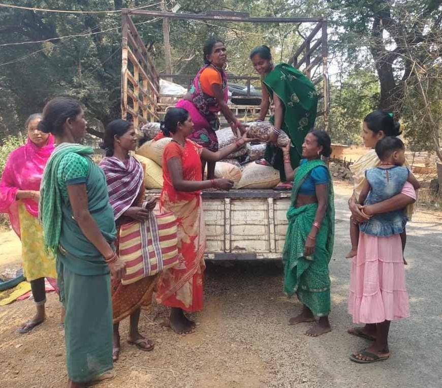 वनांचल की किस्मत बदलने वाली फसल साबित हुई इमली