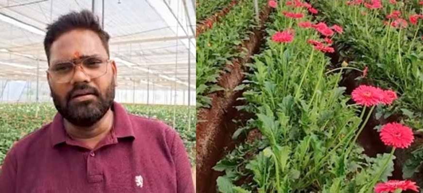 सब्सिडी से नीरज की बदली तकदीर, जरबेरा की खेती से लाखों की कमाई