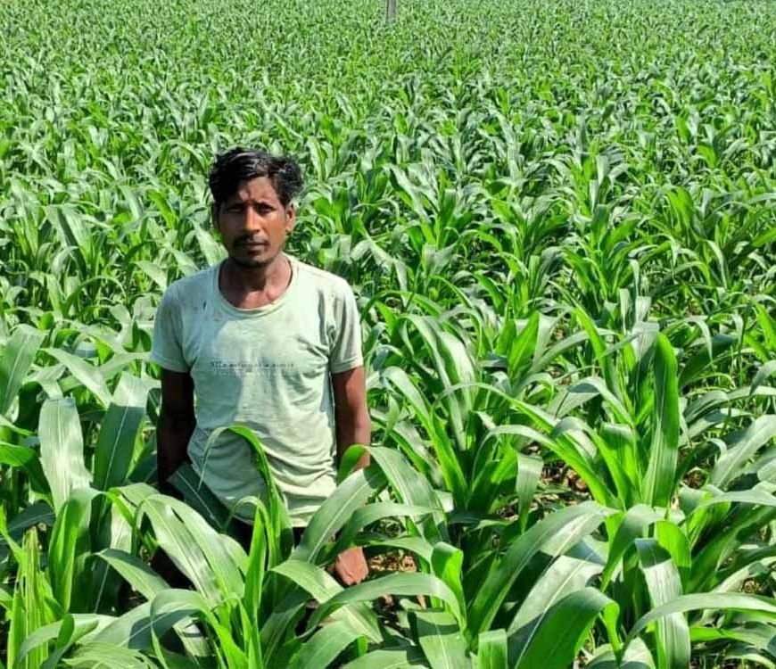 धान के बजाय मक्का से बढ़ा मुनाफा : किसान मालती मोहन बने उन्नत खेती की मिसाल किसान मालती मोहन