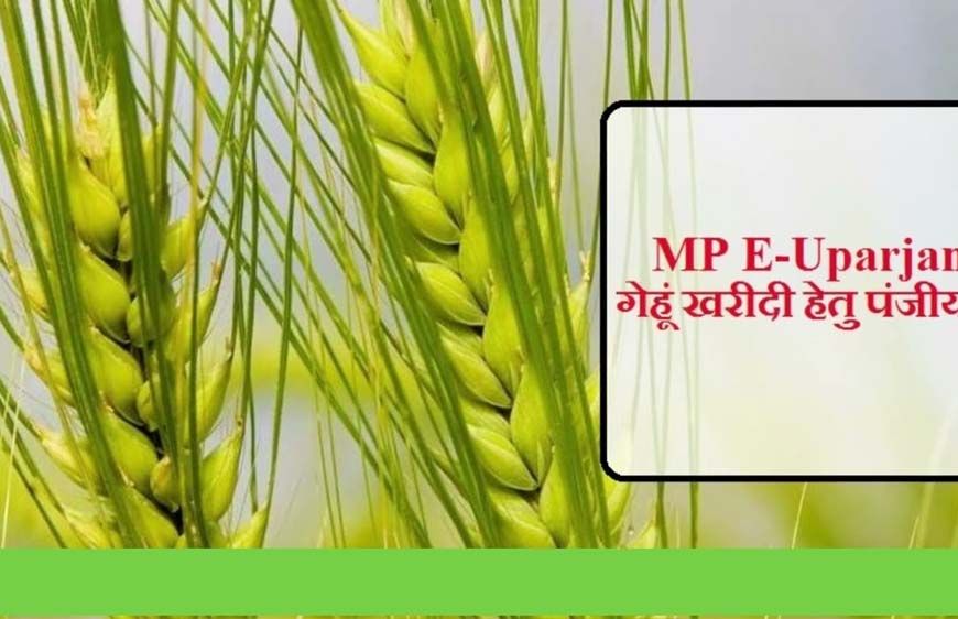इंदौर, उज्जैन, भोपाल और नर्मदापुरम संभाग में 1 अप्रैल तथा शेष संभागों में 7 अप्रैल से होगी गेहूँ खरीदी : खाद्य मंत्री  राजपूत