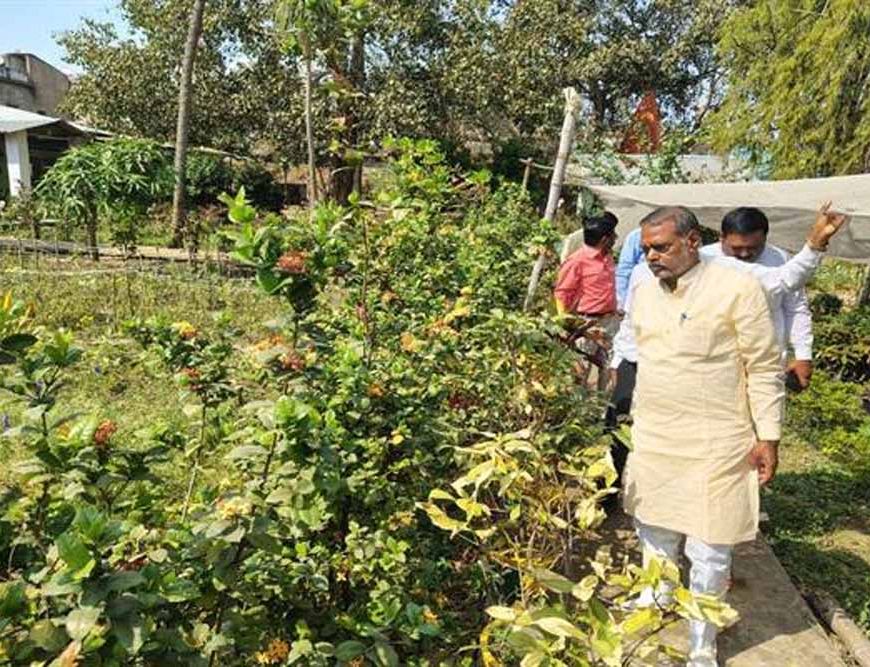 शासकीय नर्सरियों को बनाया जायेगा आदर्श नर्सरी : मंत्री  कुशवाह