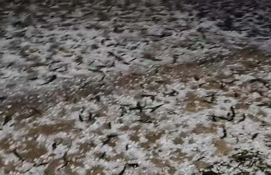 राजस्थान और MP में बारिश और ओले , हरियाणा में बारिश से सड़कों पर पानी,UK के गंगोत्री धाम में बर्फबारी