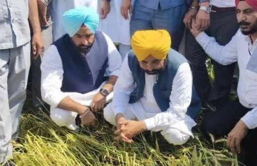 “किसान कोई प्रयोगशाला नहीं”: CM मान की सख्त टिप्पणी, पहले खुद परीक्षण करने की सलाह