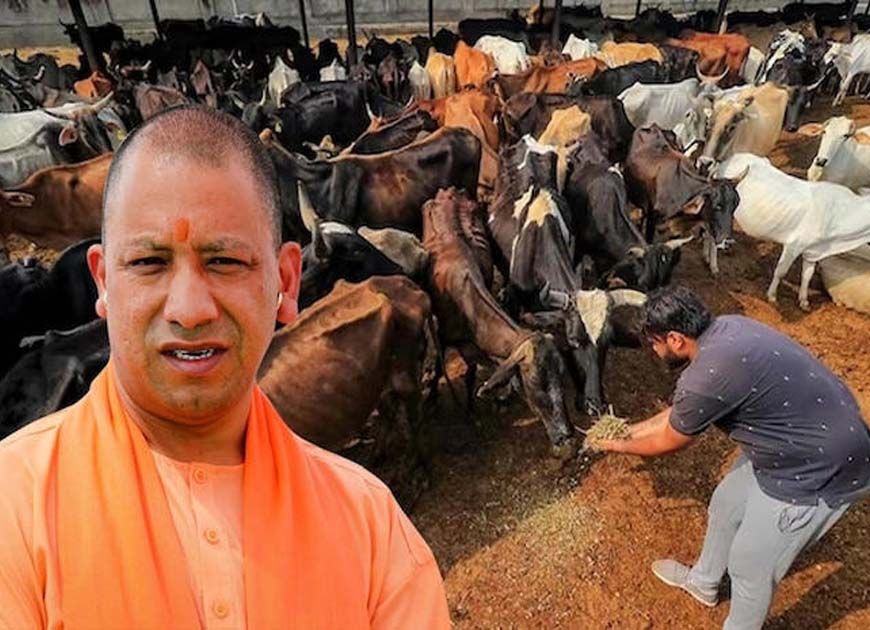 योगी सरकार की ‘नन्दिनी कृषक समृद्धि योजना’ से डेयरी सेक्टर में आ रही नई क्रांति
