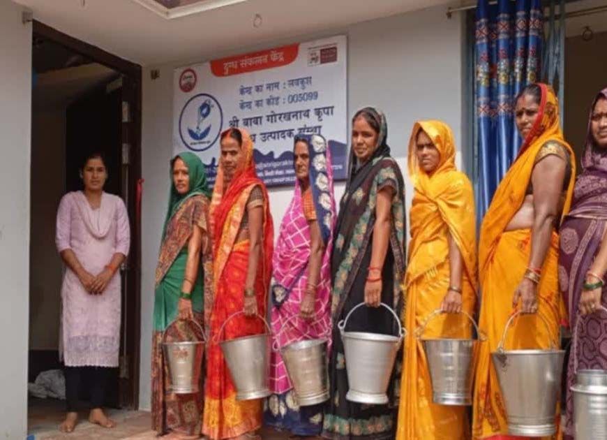 मिल्क प्रोक्योरमेंट से आत्मनिर्भर बनीं प्रदेश की साढ़े तीन लाख महिलाएं