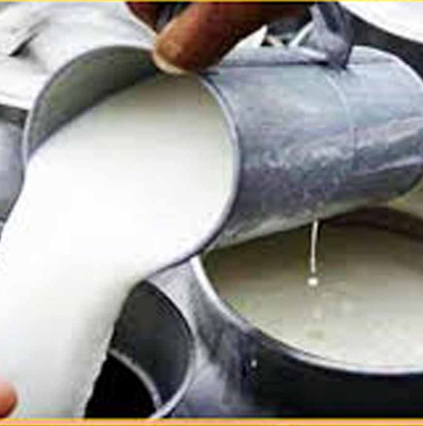 आंध्र प्रदेश में मिलावटी दूध का कहर जारी: अब तक 16 मौतें, 3 की हालत गंभीर