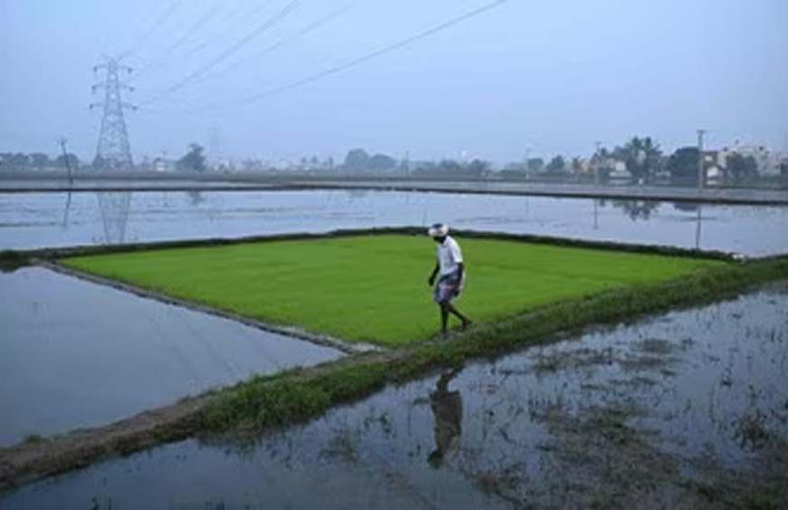 युद्ध का सीधा असर खेती पर: कीटनाशक 30% महंगे, किसानों की लागत बढ़ने की आशंका