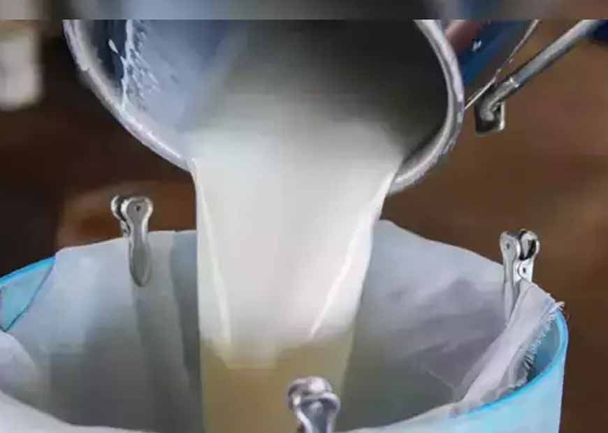 31 जिलों की महिलाओं ने किया पांच हजार करोड़ का दूध का कारोबार