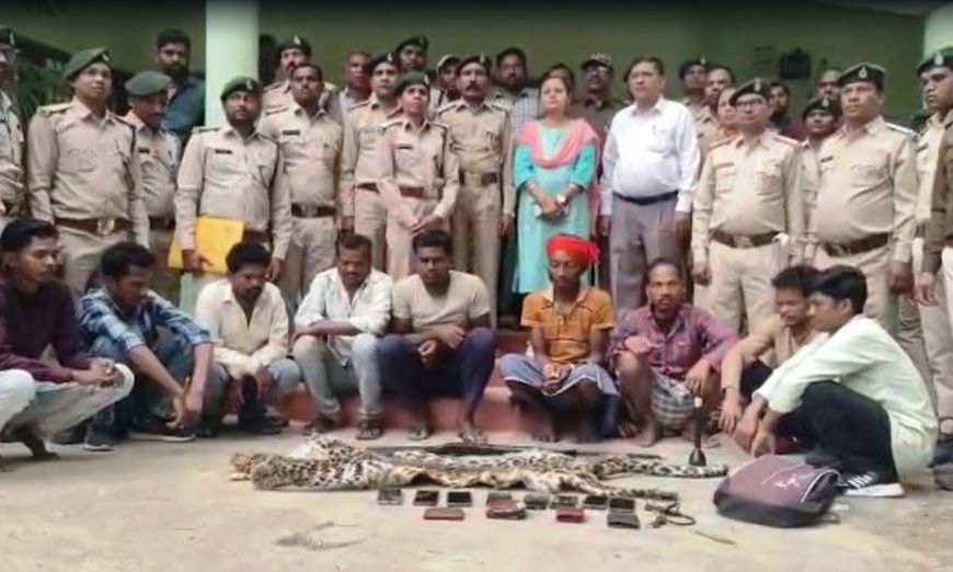 तेंदुए की खाल तस्करी पर वन विभाग का बड़ा एक्शन, 9 आरोपी गिरफ्तार