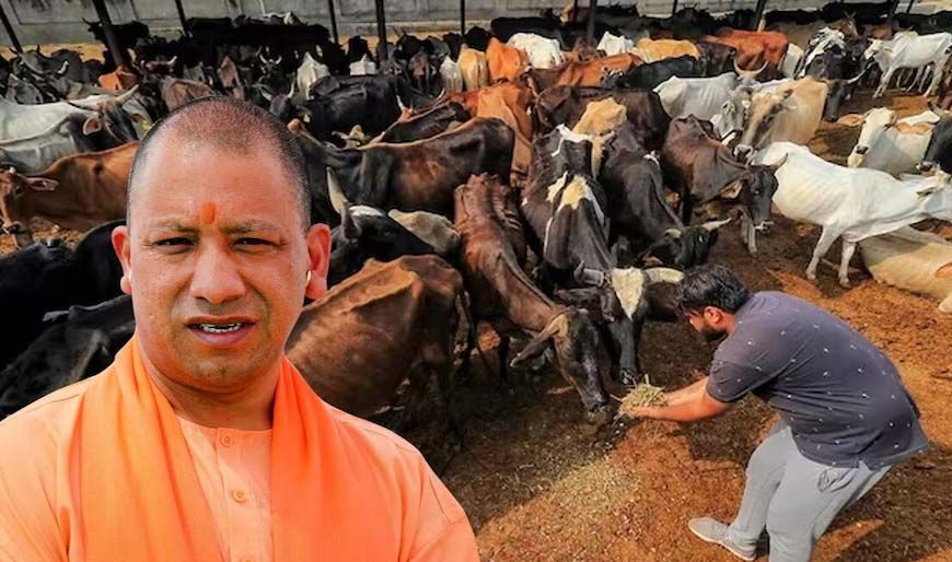 जर्मन टेक्नोलॉजी से लैस होंगी प्रदेश की गोशालाएं