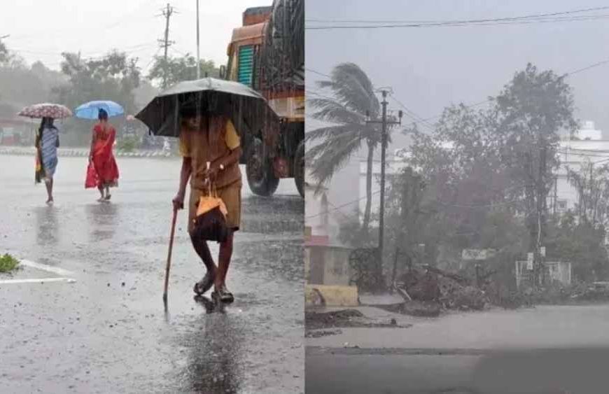 पंजाब में मौसम का यू-टर्न: अगले 2 दिन बारिश की चेतावनी, अलर्ट जारी