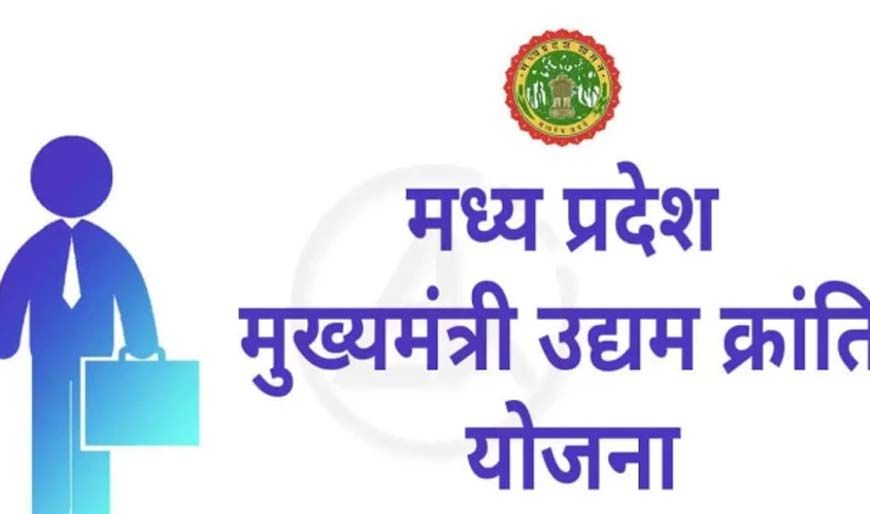 मेहनत और योजना का साथ, कविता दुबे ने खड़ा किया सफल व्यवसाय