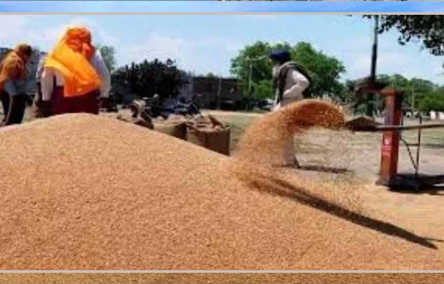 गेहूं खरीद को लेकर अनाज मंडियां तैयार: किसानों को समय पर भुगतान का भरोसा