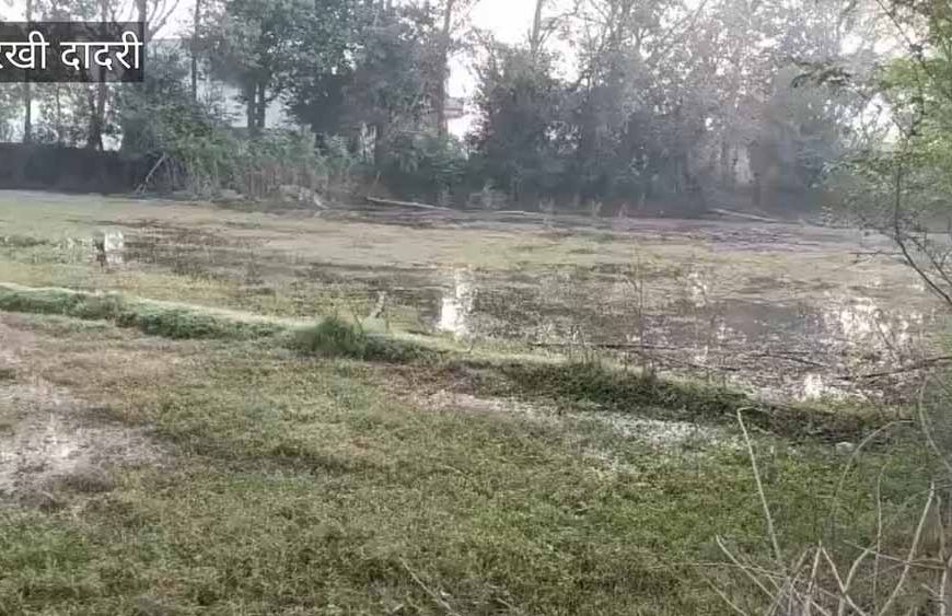 चरखी दादरी में कचरे से हरियाली की पहल: स्वच्छ वातावरण बनाने की अनोखी कोशिश