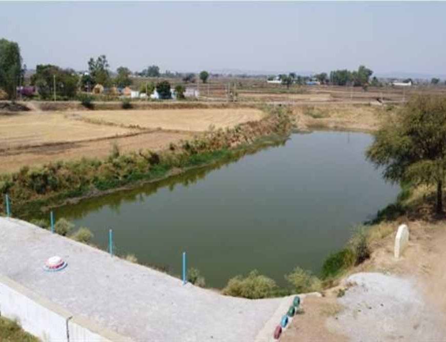 अमृत सरोवर से रिझोरा में लौटी हरियाली और खुशहाली