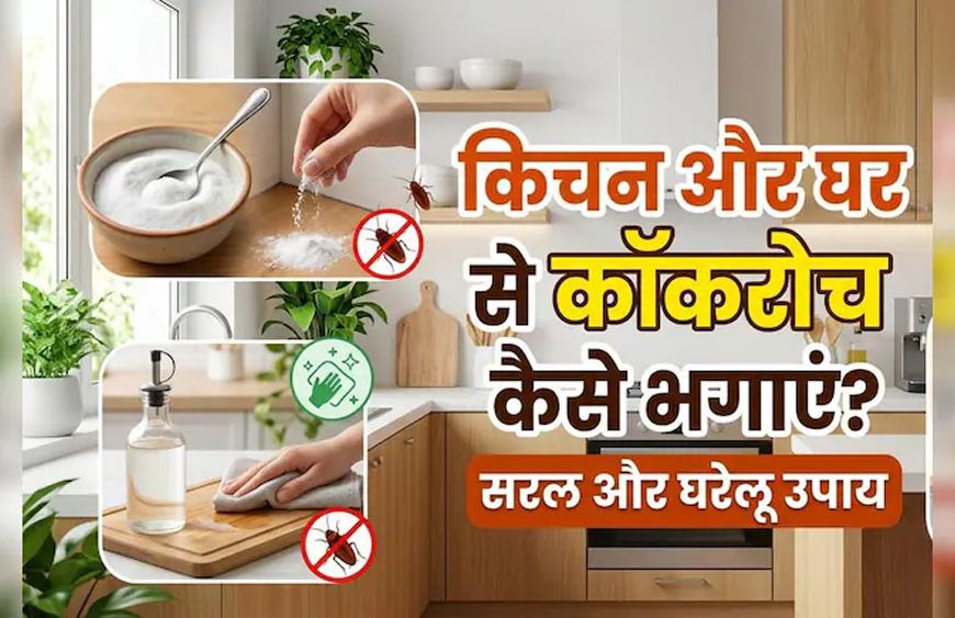 कॉकरोच भगाने के सबसे असरदार घरेलू उपाय