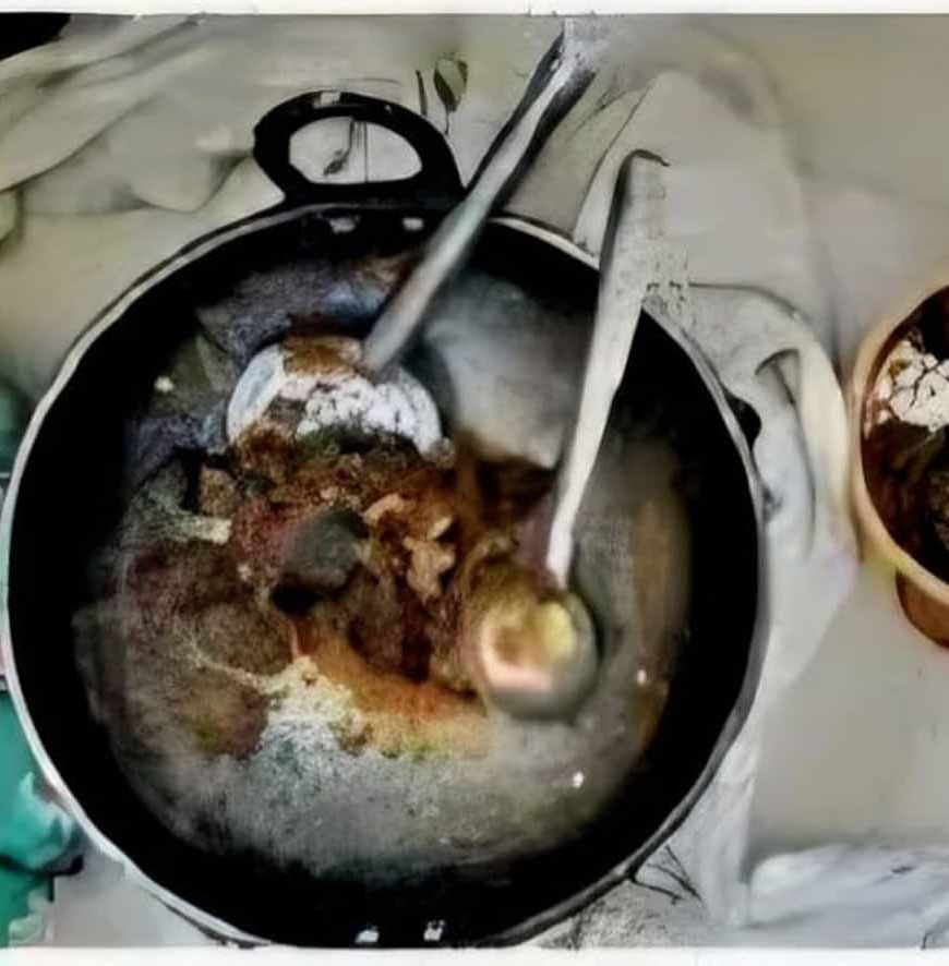 बिलासपुर जंगल रिसॉर्ट में छापा: हिरण का मांस पकाते मैनेजर समेत 4 गिरफ्तार